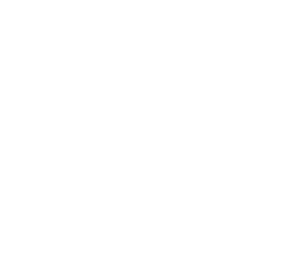 Brasserie des Lys
